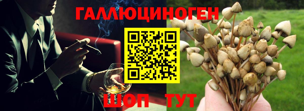Пермь  Псилоцибиновые грибы мухоморы  Вход с VPN  Псилоцибиновые грибы ЛСД 